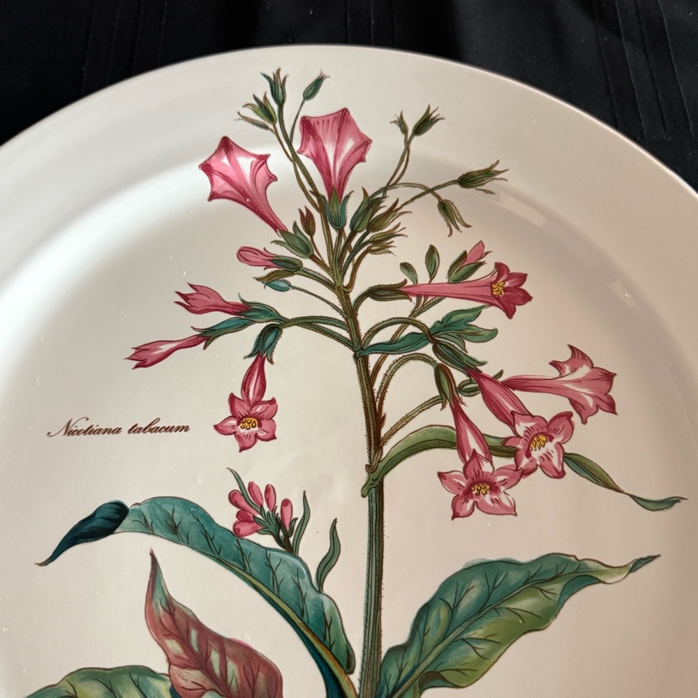 Villeroy & Boch Botanica Nicotiana Tabacum 12.25” Round Platter Vintage - Picture 2 of 9